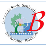 Logo CSS B copy